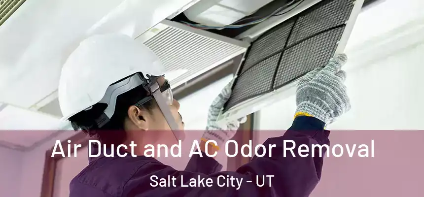 Air Duct and AC Odor Removal Salt Lake City - UT