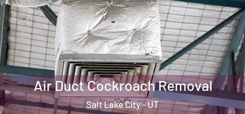 Air Duct Cockroach Removal Salt Lake City - UT