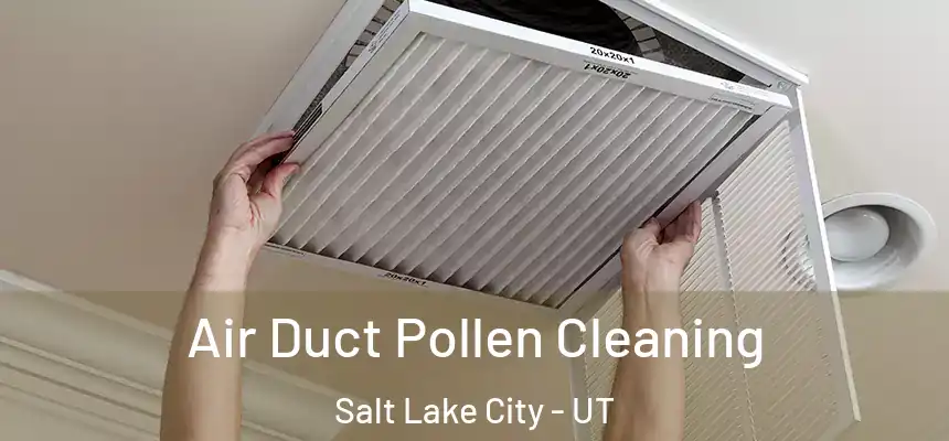 Air Duct Pollen Cleaning Salt Lake City - UT