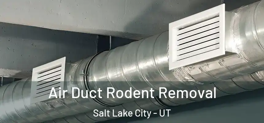 Air Duct Rodent Removal Salt Lake City - UT