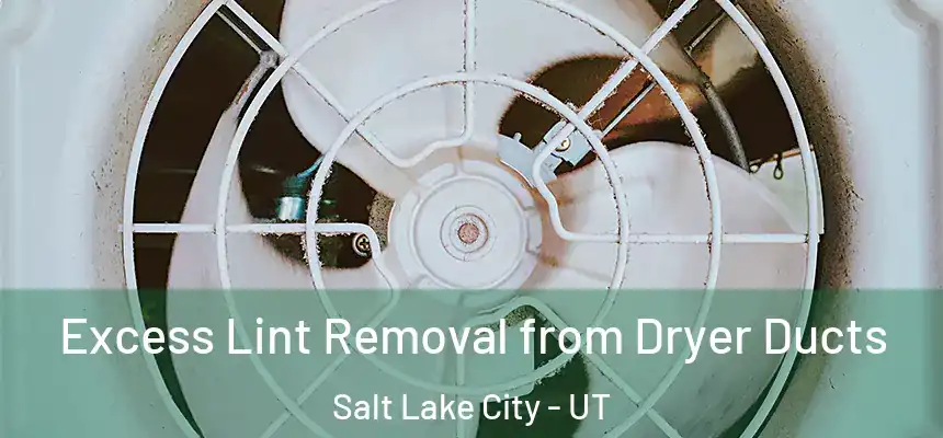 Excess Lint Removal from Dryer Ducts Salt Lake City - UT