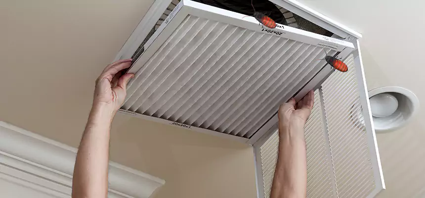 Preventive Cockroach-Proofing for Ducts in Salt Lake City