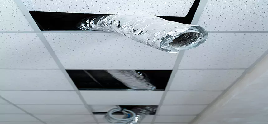 Our Air Duct Pet Hair Removal Services in Salt Lake City, UT