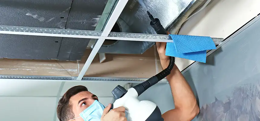 Our Air Duct Rodent Removal Services in Salt Lake City, UT