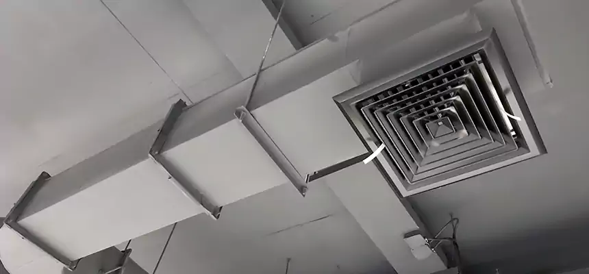 Our Pest Removal From Ducts Services in Salt Lake City, UT