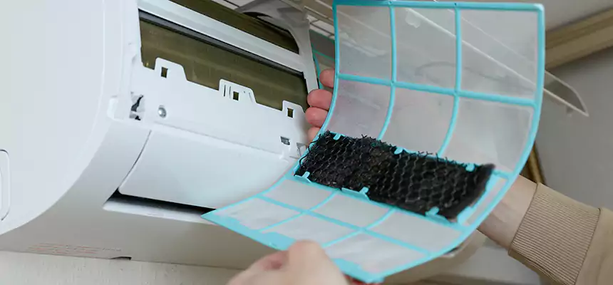 Gentle Ductwork Odor-Control Pet Dander Duct Cleaning in Salt Lake City, UT