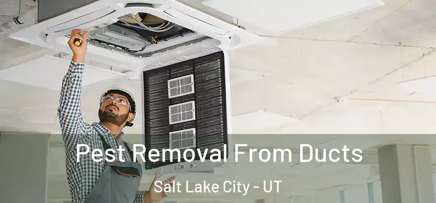Pest Removal From Ducts Salt Lake City - UT