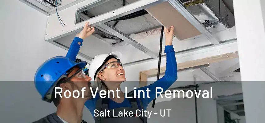 Roof Vent Lint Removal Salt Lake City - UT