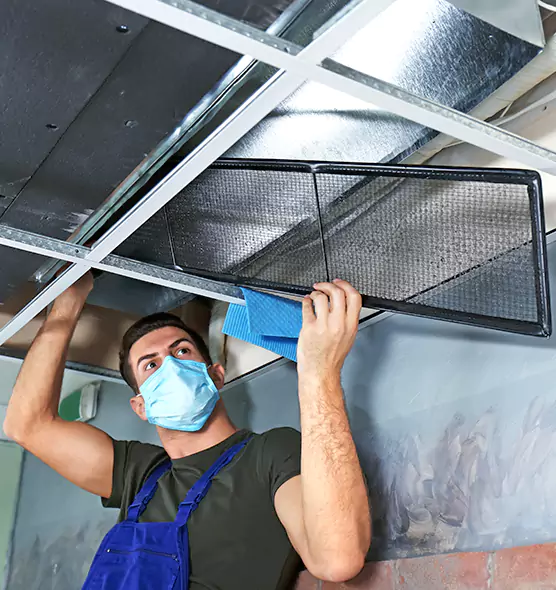 About Air Duct Bacteria Removal in Salt Lake City