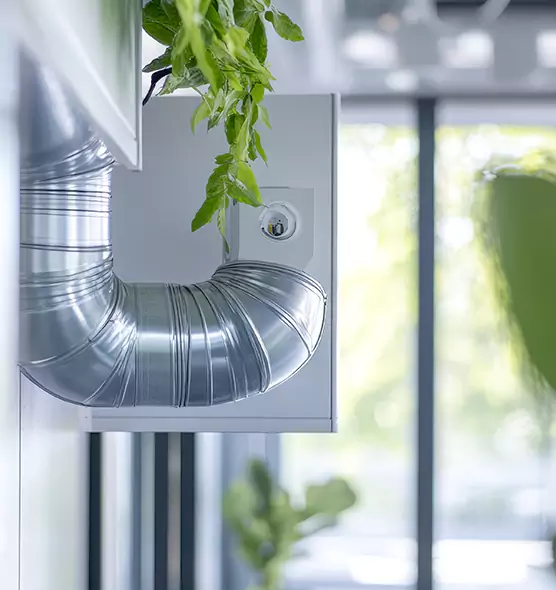 Professional Eco-Friendly Duct Cleaning Services in Salt Lake City, UT