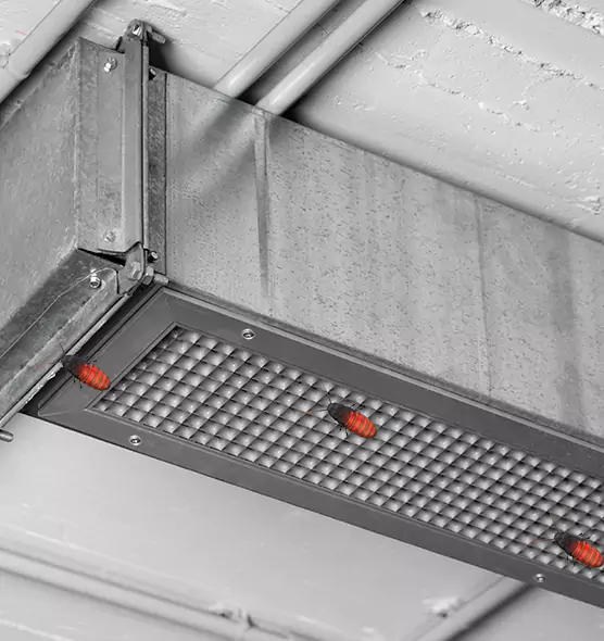 Affordable Insect Removal from Air Ducts in Salt Lake City, UT