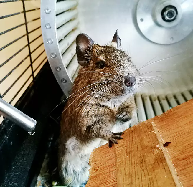 Why Homeowners & Businesses Trust Us Salt Lake City, UT