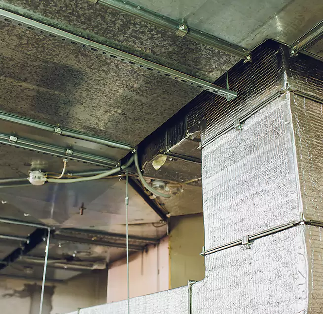 Why Homeowners & Businesses Trust Us in Salt Lake City, UT?